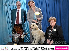 chien �leveurs chiens photos