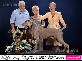 dogs breeders dog pictures