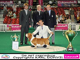 honden fokkers en hond foto's