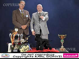honden fokkers en hond foto's