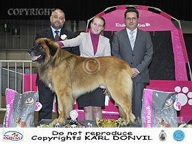 honden fokkers en hond foto's