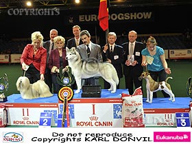 honden fokkers en hond foto's