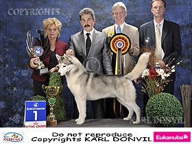 honden fokkers en hond foto's