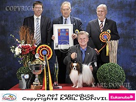 honden fokkers en hond foto's