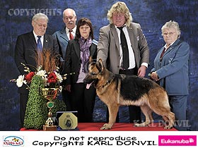 honden fokkers en hond foto's