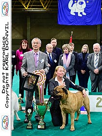 honden fokkers en hond foto's