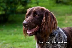 Geen foto